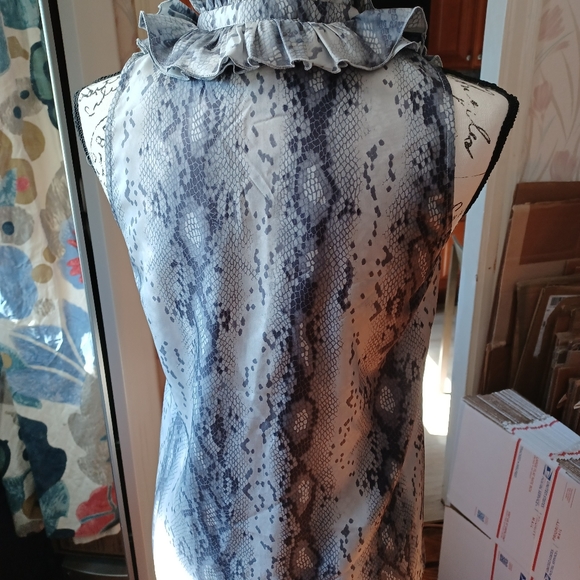 J. Crew 100% Silk sleeveless button down blouse - Picture 4 of 5